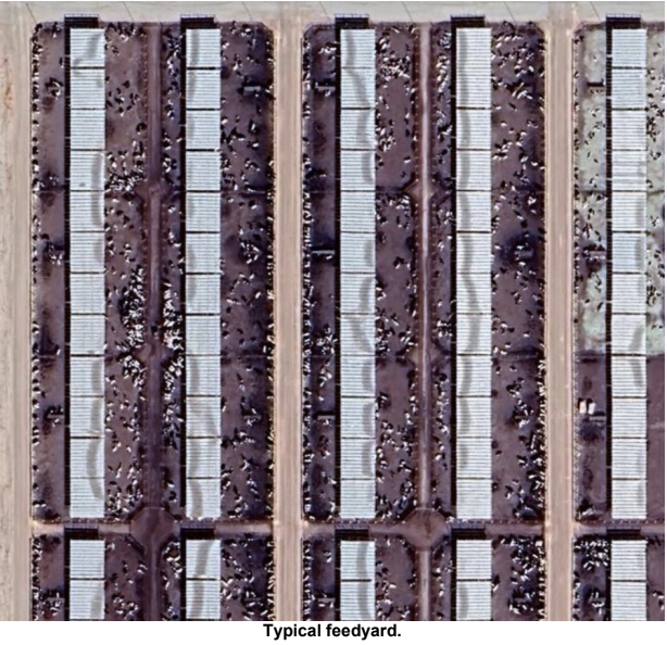 Feedyard 
